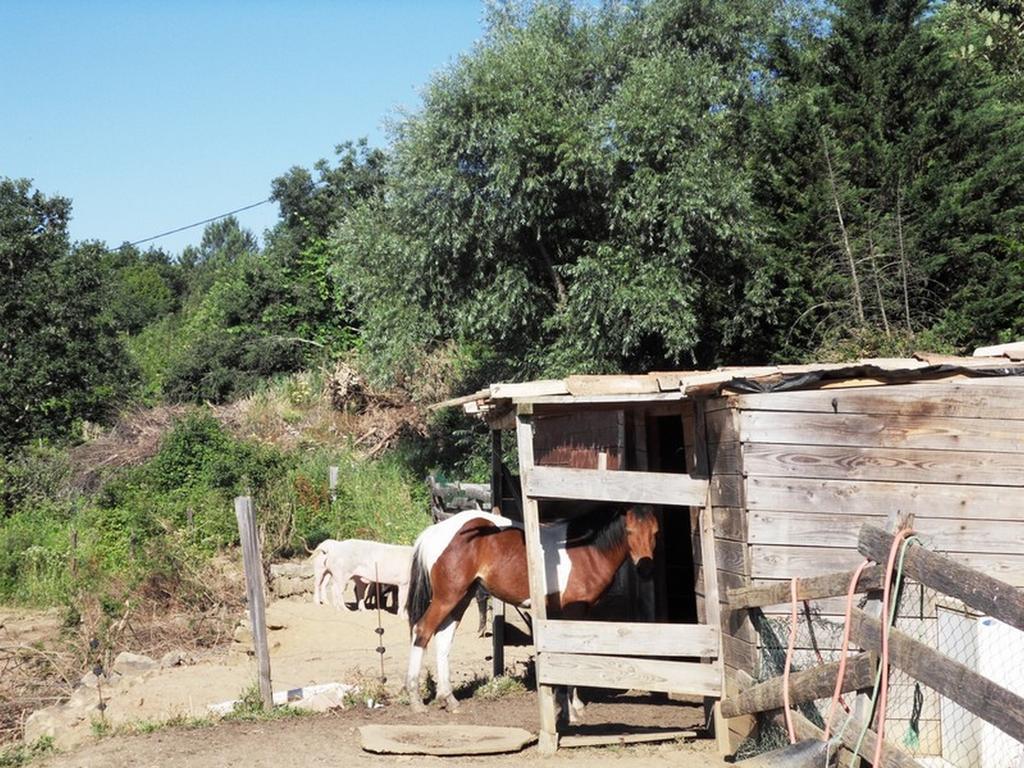 Сasa de vacaciones De La Grenouillere